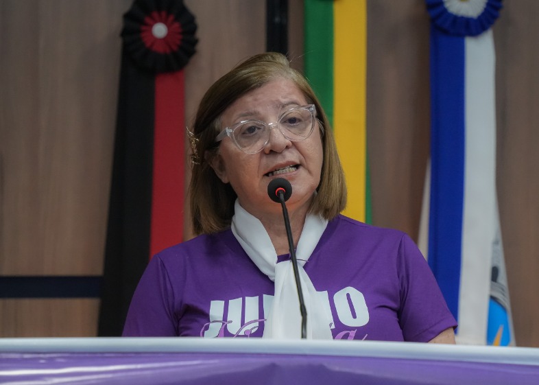 JUNHO VIOLETA: CMDPI destaca campanha e pede fortalecimento da rede de prote��o � pessoa idosa